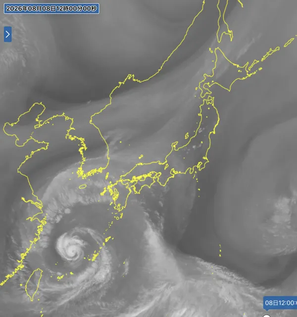 2026年8月8日12時の日本周辺の衛星水蒸気画像