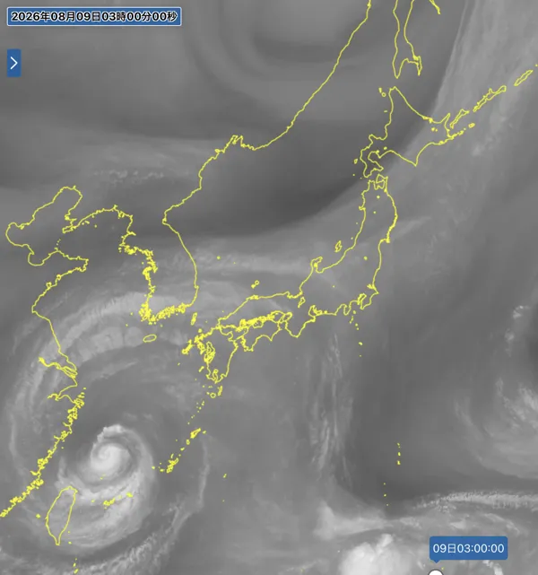 2026年8月9日3時の日本周辺の衛星水蒸気画像