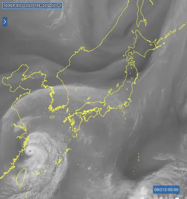 2026年8月9日12時の日本周辺の衛星水蒸気画像