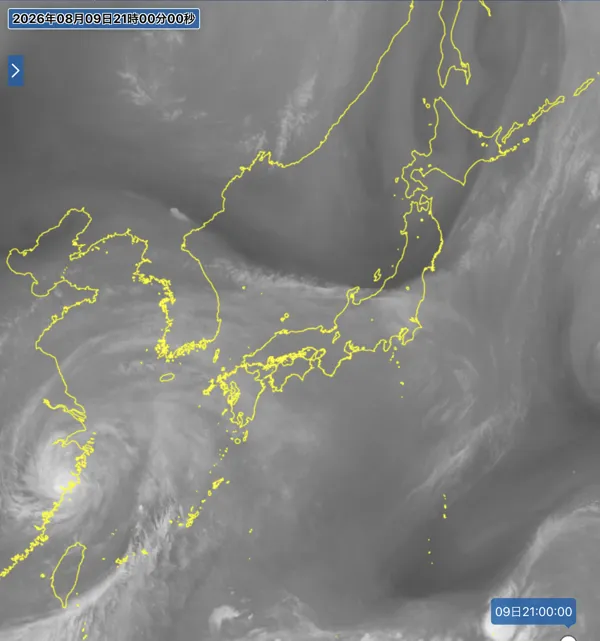 2026年8月9日21時の日本周辺の衛星水蒸気画像