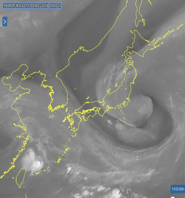 2026年8月11日9時の日本周辺の衛星水蒸気画像
