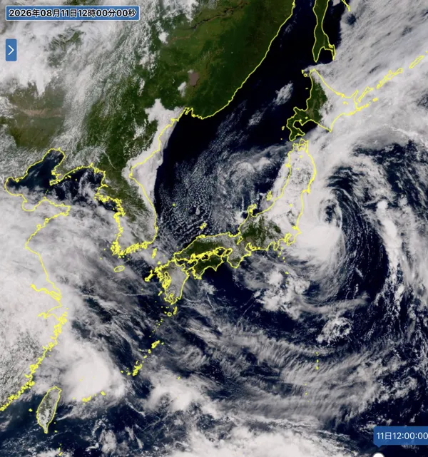 2026年8月11日12時の日本周辺の衛星可視画像