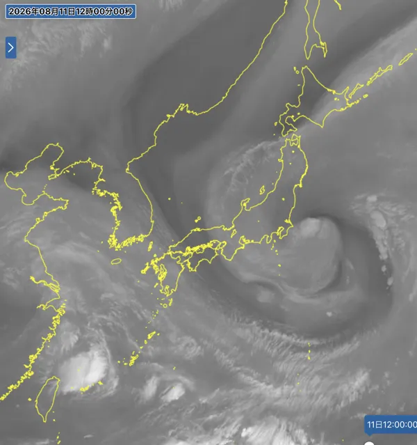 2026年8月11日12時の日本周辺の衛星水蒸気画像