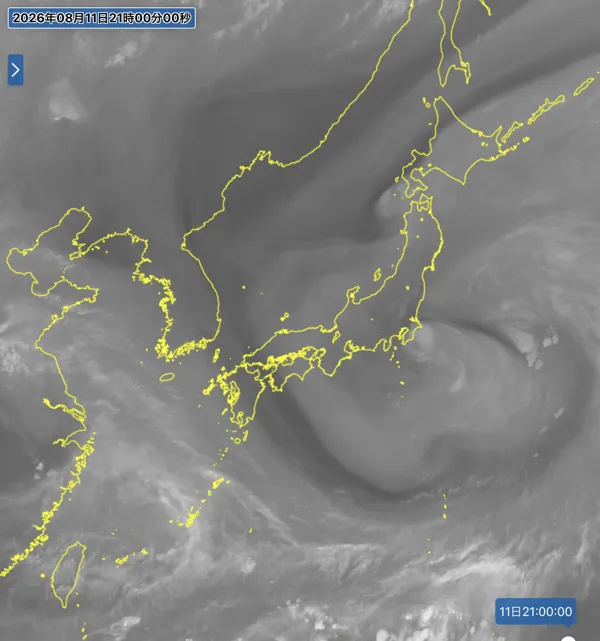 2026年8月11日21時の日本周辺の衛星水蒸気画像