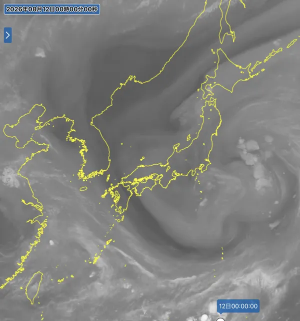2026年8月11日24時の日本周辺の衛星水蒸気画像