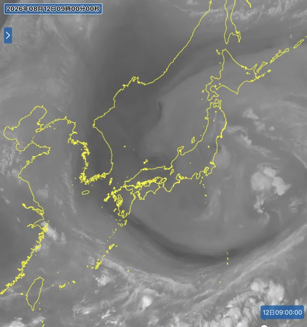2026年8月12日9時の日本周辺の衛星水蒸気画像