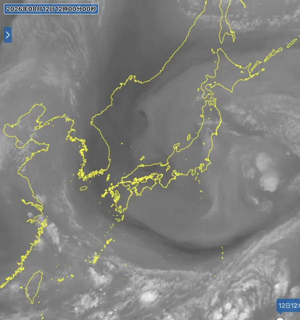 2026年8月12日12時の日本周辺の衛星水蒸気画像