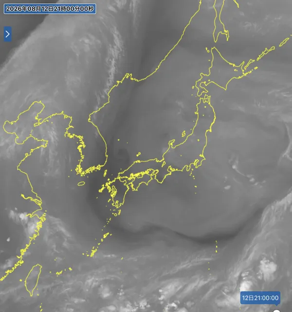 2026年8月12日21時の日本周辺の衛星水蒸気画像