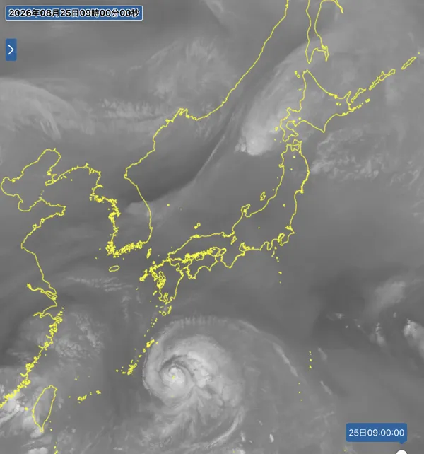 2026年8月25日9時の日本周辺の衛星水蒸気画像
