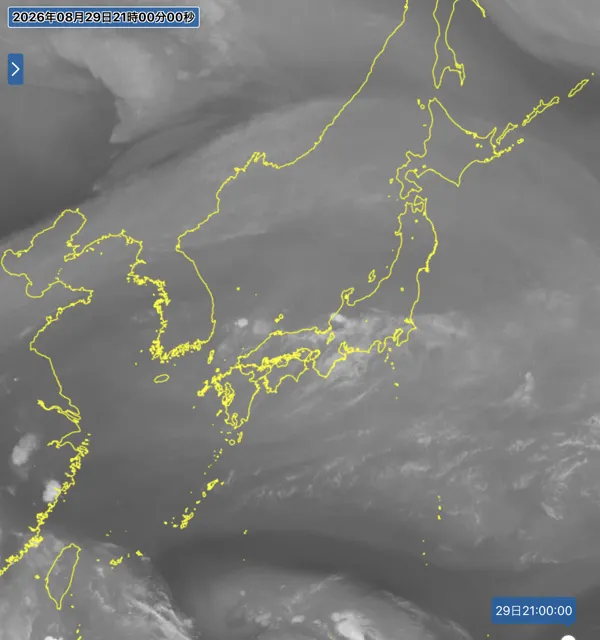 2026年8月29日21時の日本周辺の衛星水蒸気画像