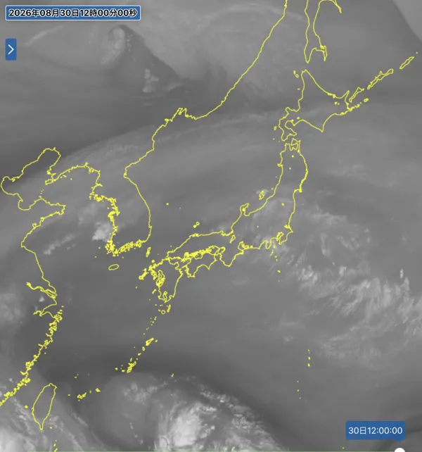 2026年8月30日12時の日本周辺の衛星水蒸気画像