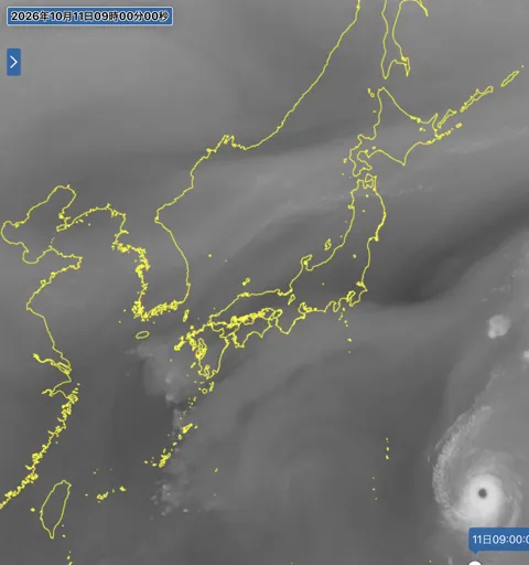 2026年10月11日9時の日本周辺の衛星水蒸気画像