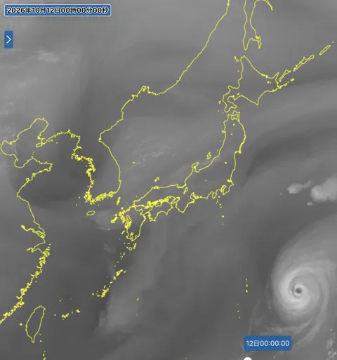 2026年10月11日24時の日本周辺の衛星水蒸気画像
