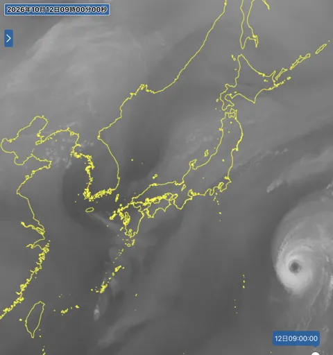 2026年10月12日9時の日本周辺の衛星水蒸気画像