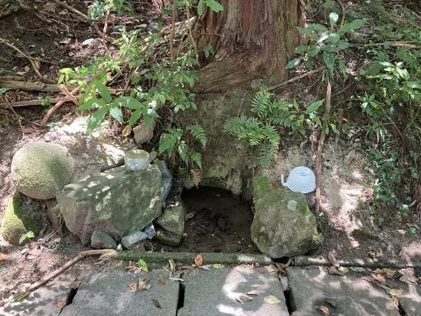 湧水スポットを少し離れて写した写真