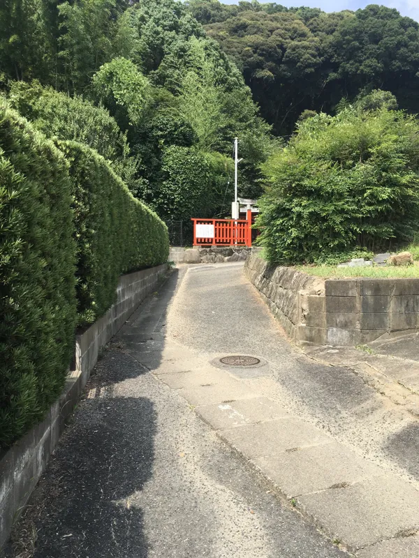 不老水手前の道の写真