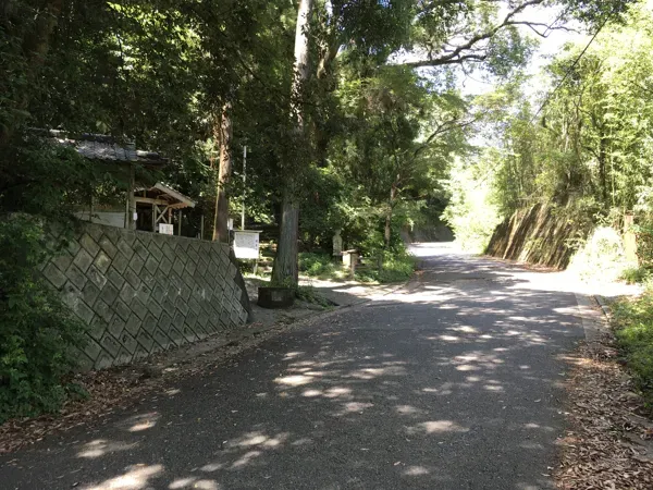 明星池手前の道の写真