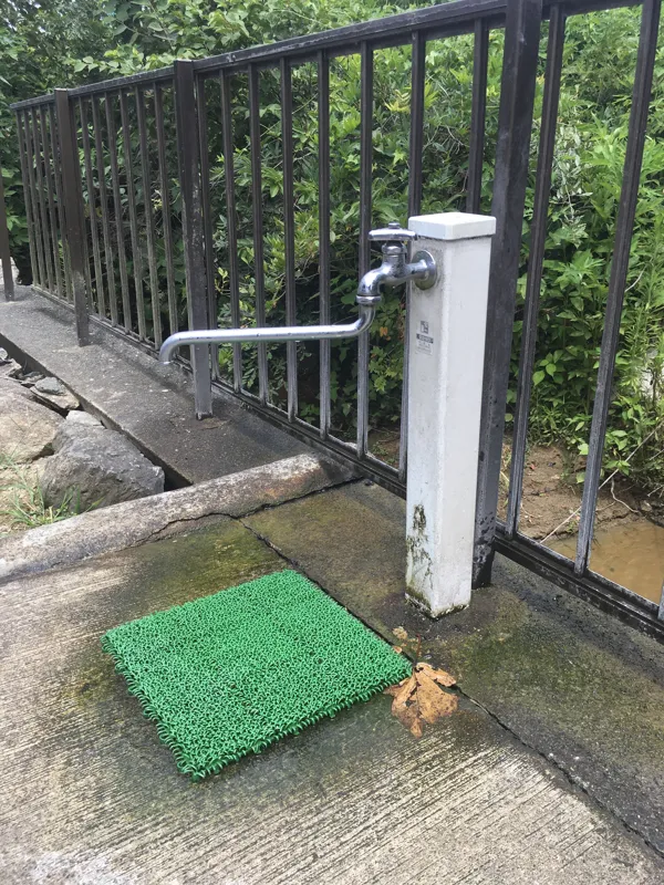 蛇口を拡大した写真