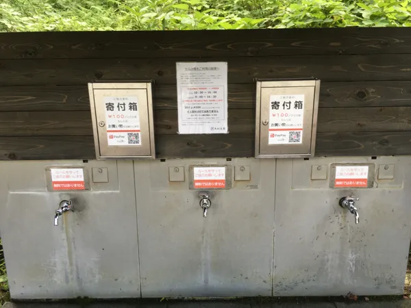 蛇口と賽銭箱の写真