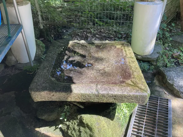 湧水スポット拡大写真