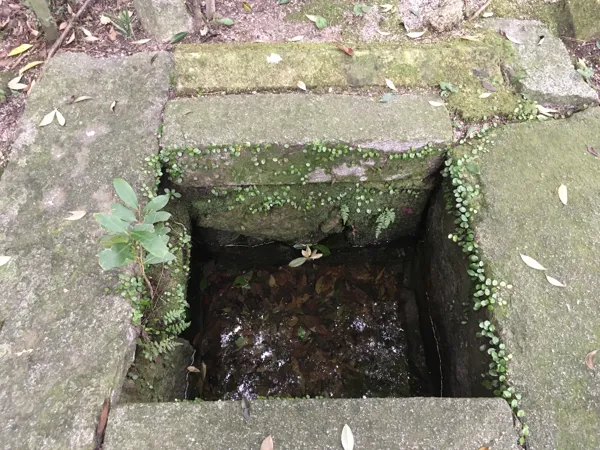 水鏡の写真