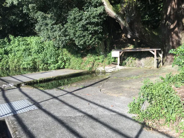 清水の湧水池の写真