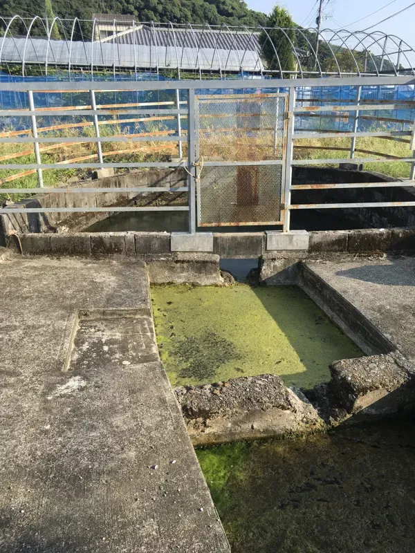 いんの川の写真