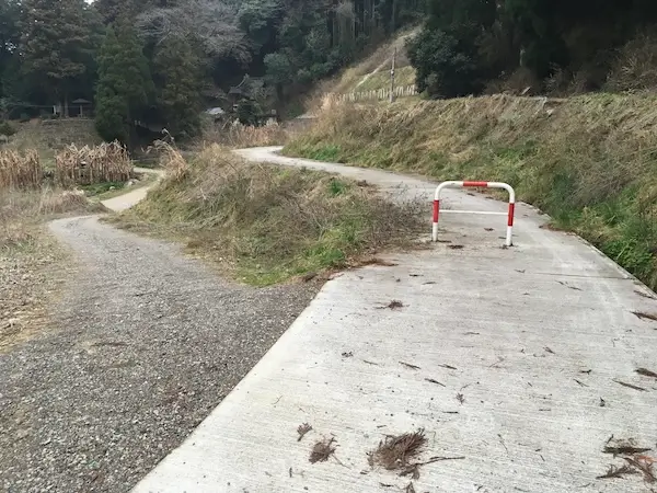 手前の道の写真