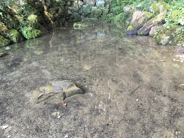 いや川水源の湧出し口
