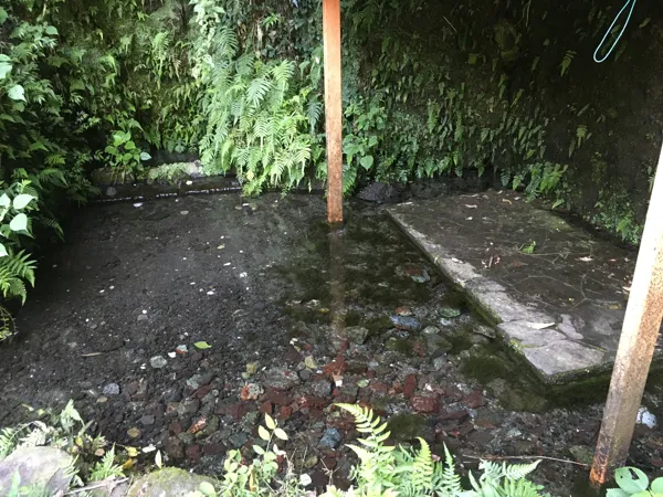 中蓮寺公園水源の写真