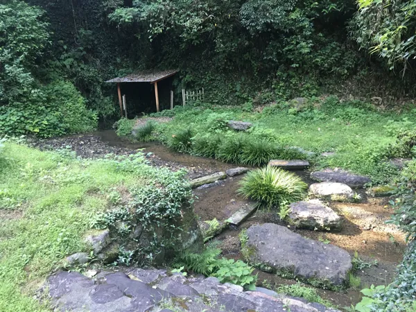 水源の写真