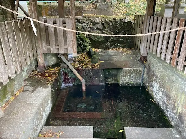 水汲み場と神社の間の池を拡大した写真