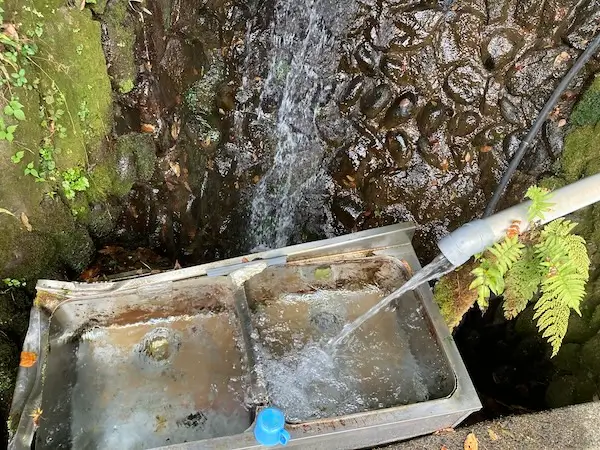 下園妙見様湧水の手前の道の湧水を拡大した写真