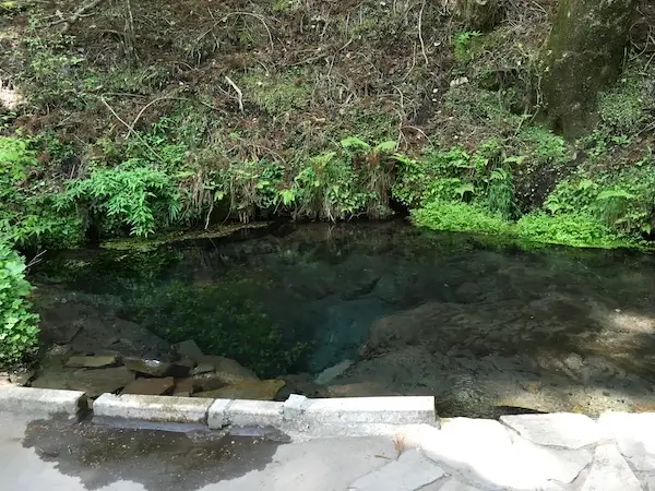 湧き水の場所の写真