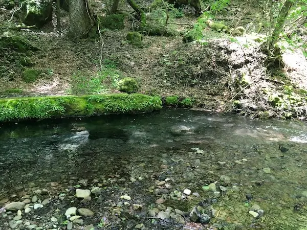 湧き水スポットから流れる川の写真