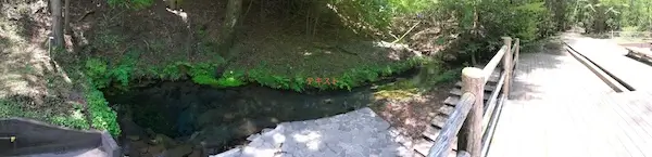 湧き水スポットの広角写真（上から）