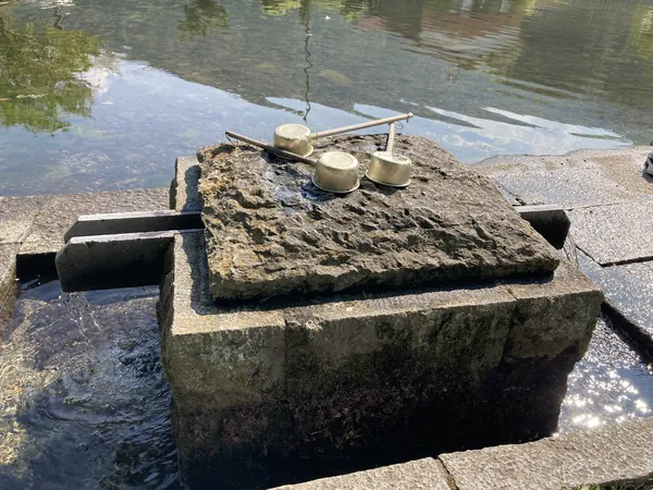 縫ノ池の湧水の写真
